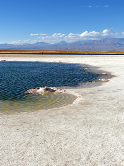laguna cejar